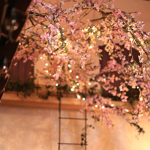 店内の桜も満開！【3月のお知らせ】